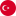 Türkçe